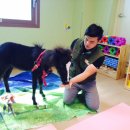 약사아이파크어린이집 이미지