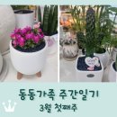 안경진정성 김포운양점 | 동동가족 주간일기 3월 첫째주 / 아이들 개학 / 강화도 꽃게탕 / 헬리코박터 제균 성공 ^^