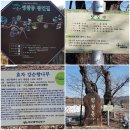 대구 팔공산 올레길 4코스_평광동 왕건길_2022.12.23