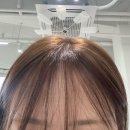 추천! 봄웜염색 매트브라운 하이레이어드컷 모아르헤어 소연실장님 메이플자이미용실 방문솔직후기 🗯️🩵
