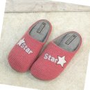 스타라인 이미지