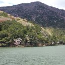 오늘의숲 이미지