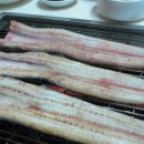 남서울민물장어 이미지