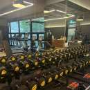 더 보스짐 이미지