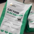 펫링크 | 시니어 고양이 사료 노묘 비만 막는 마이펫닥터 사료 후기