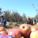 호원2농장 이미지