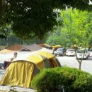 도토리캠프 이미지