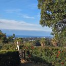 오름이야기 | [내돈내산] 제주 서귀포 커플숙소 추천 | 오름이야기, 아늑하고 뷰 좋은 2층숙소