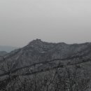 감나무식당 Daum카페
