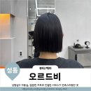두두미용실 | 상왕십리 미용실 추천! 칼단발 매직 잘하는 오르드비헤어 지혜님 후기