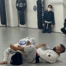 본주짓수평택안중 이미지