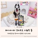 보스턴테리어 털빠짐관리 퍼미네이터 죽은털브러쉬 후기