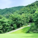 골프클럽푸른산자리골프연습장 | 2026 원주 근교 파3 골프장 추천 BEST 6 ⛳ 가성비 숏게임 연습장 총정리 (가격·코스·후기)