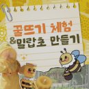 꿀벌농장 | 여주 어린이 농장체험! 꿀벌 농장과 숲에서 즐기는 가족 자연체험학습 후기