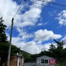 포항 하옥가람 오토캠핑장 5번 사이트 이용후기
