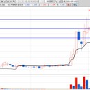 에이치엘비에너지 주식회사 이미지