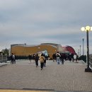 주식회사 댕아일랜드 | [도쿄]셋째날 여행후기(+혼자 도쿄디즈니랜드 DPA PP 엔트리당첨)