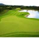 그린필드 골프연습장 이미지