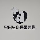 닥터 노아 동물병원 이미지