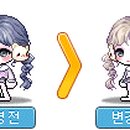노보헤어 이미지