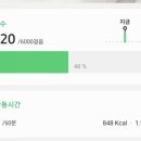 로즈마리149