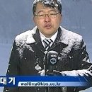 볼다 이미지