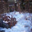 홍천테니스장 이미지