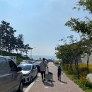 you참치&amp;생연어 | 꽃지해수욕장 물놀이 Tip 리솜에서 저녁식사