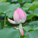 신평저수지 이미지