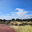 글로벌제주문화협동조합 | [버킷] 제주에서 즐기는 로컬 워홀(2)