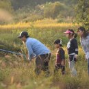 조팝꽃피는마을 이미지