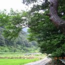 광천농장 2 이미지