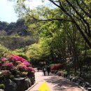 지에스(GS2) 용마산본점 | 용마산 아차산 등산 &amp; 신토불이 떡볶이 메뉴/후기(+용마산 등산로 가는법)