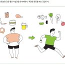 콜레스테롤과 중성지방, 차이가 무엇인가요? 이미지