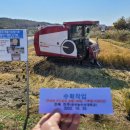 못자리골 농장 | 가루쌀(바로미2) 재배생산에서 직파의 잇점