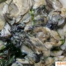 오뚜기미용실 네이버블로그