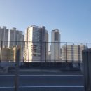 골든펠리스더리치오피스텔 이미지