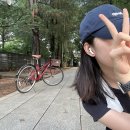 청춘당구 | 📚2025년 돌아보기 | 엄선한 연말 결산 문답 20선 (+노션 템플릿 / 텍스트 파일 공유 다운)