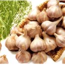 단양-단양-01 이미지