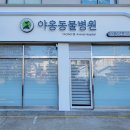 야옹동물병원 이미지