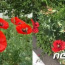 낙동강변로3-3 이미지