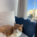 햇살미용실 | 따뜻한 햇살 아래, 마음까지 환해지는 강릉 미용실 방문 후기 🌿