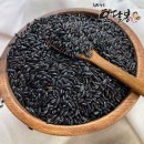힘찬농부