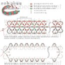 와인팔찌비즈공예 도안 (비즈러브) 이미지