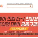 티피마켓