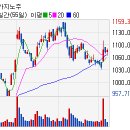 (주)마제스타 마제스타카지노 이미지