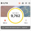 파란의원 | [일상] 쌍수 7~8일차, 인스타 파란딱지 파란뱃지 드디어..!