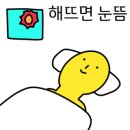 일랑일랑 스테이 이미지