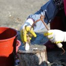 장사어촌체험휴양마을 이미지