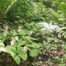 만나농장 이미지